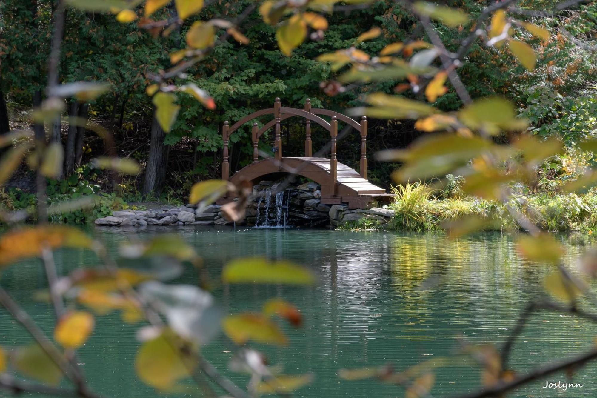 Chalet Le Domaine De L'etang Frampton