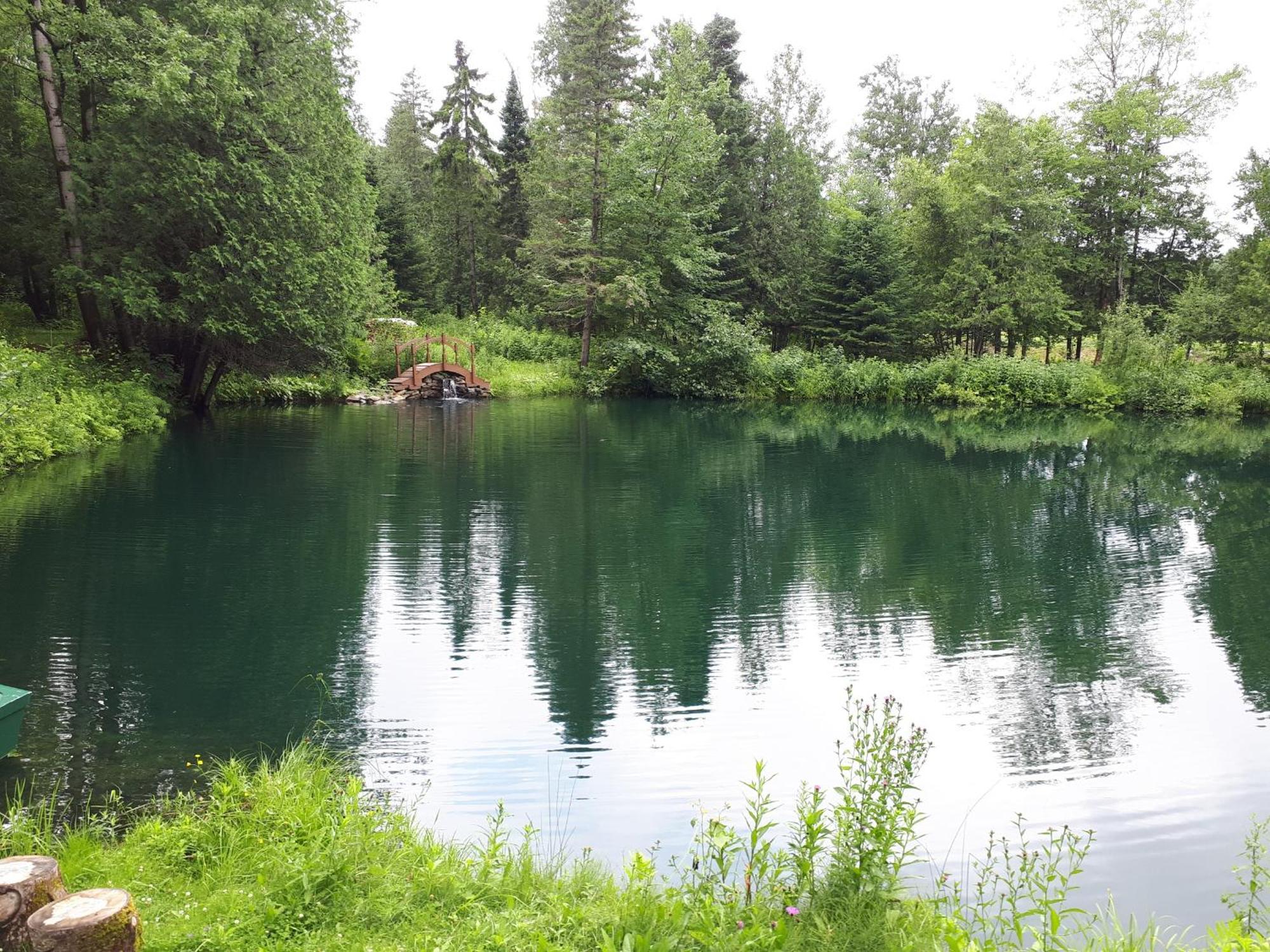 Le Domaine De L'etang Chalet